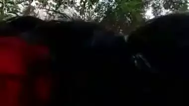 Village girl enjoys outdoor bangla sex by sucking a dick